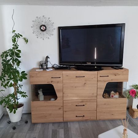 60 M² Ferienapartment Zentrumsnahe Mit Gartenbenutzung Steyr Dış mekan fotoğraf