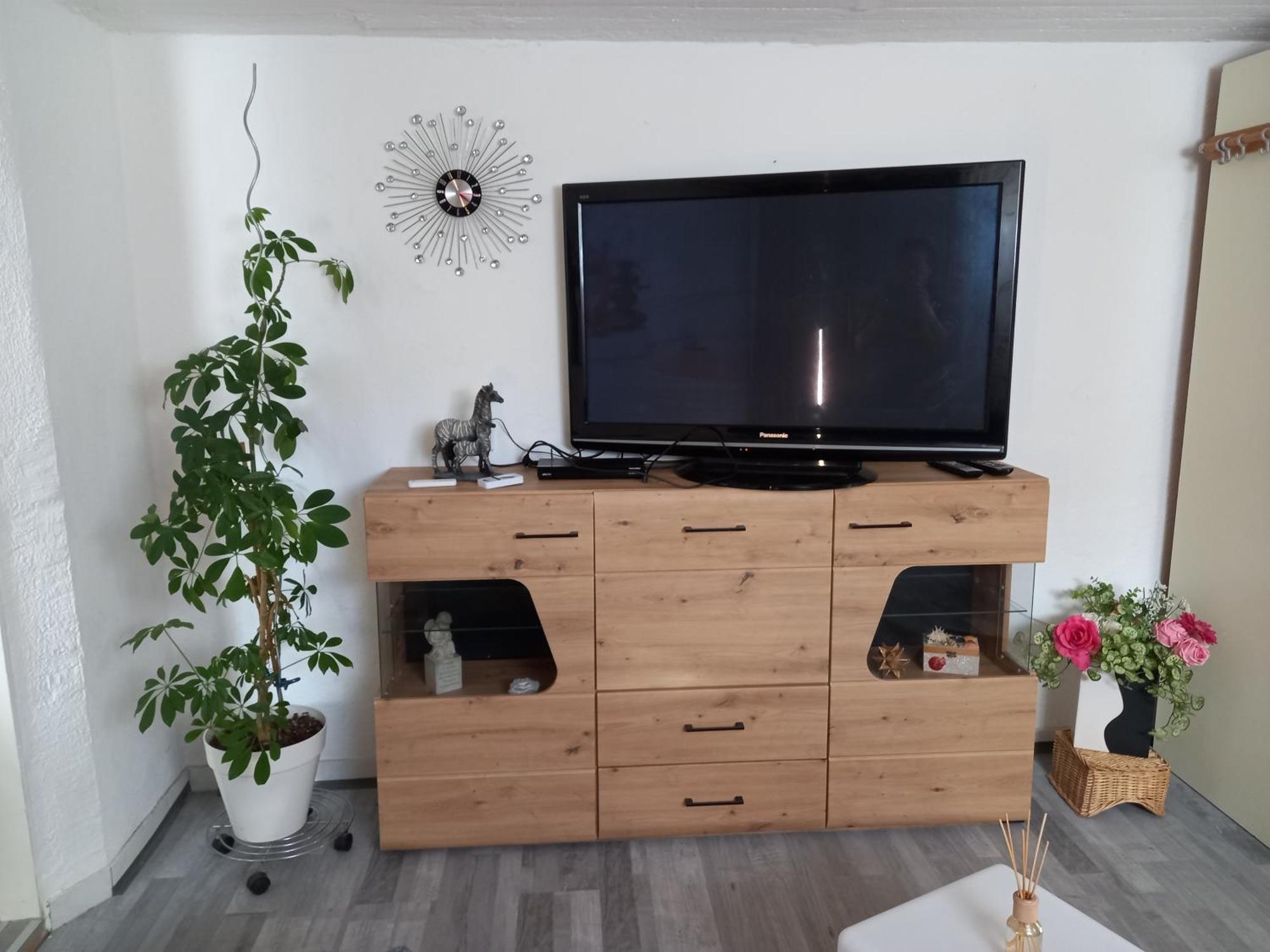 60 M² Ferienapartment Zentrumsnahe Mit Gartenbenutzung Steyr Dış mekan fotoğraf